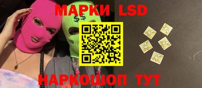 индика Рыбинск