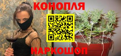 индика Рыбинск