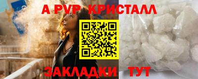 индика Рыбинск