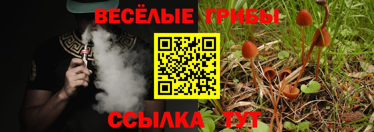Галлюциногенные грибы Cubensis  Галлюциногенные грибы Psilocybine cubensis  Рузаевка  Вход с VPN 