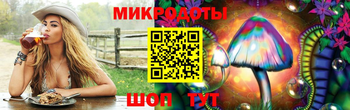 Галлюциногенные грибы Cubensis Рузаевка
